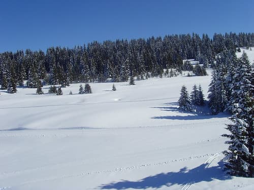 Avoriaz Skiing