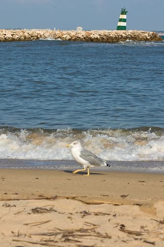 Algarve Portugal