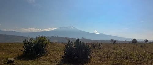 Kilimandjaro - Jour 2 - Big Tree Camp - 031
