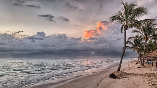 voyage punta cana club med janvier
