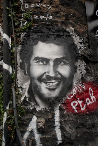 Pablo Emilio Escobar Gaviria, painted portrait DDC_8207