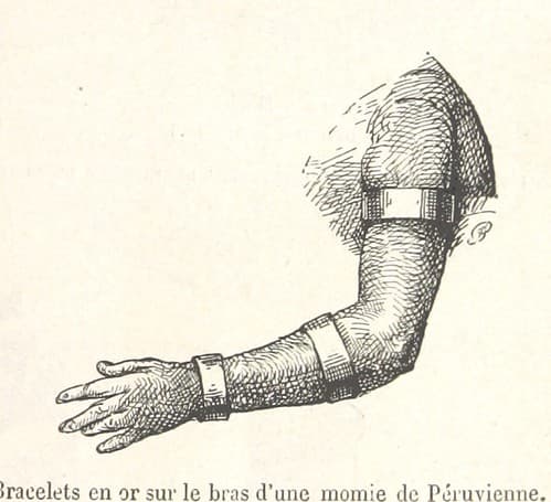Image taken from page 705 of 'Pérou et Bolivie. Récit de voyage, suivi d'études archéologiques et ethnographiques, et de notes sur l'écriture et les langues des populations indiennes ... Ouvrage contenant ... gravures, ... cartes et ... plans'
