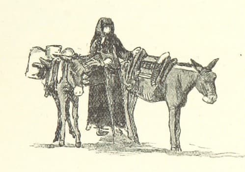 Image taken from page 55 of 'La Chasse au mouflon, ou petit voyage philosophique en Corse. Avec quarante-trois gravures, etc'