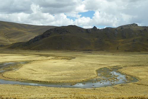 Altiplano (Pérou)