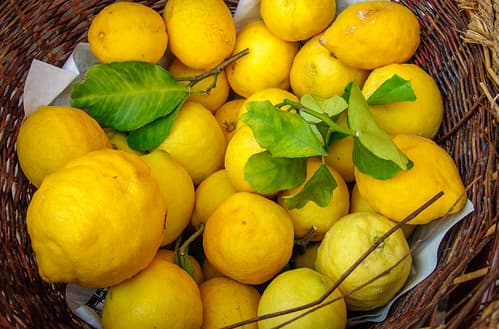 Citrons de Cinque Terre