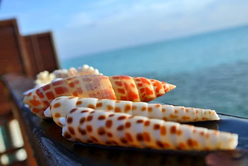 MALDIVES Olhuveli Beach & Spa Resort
