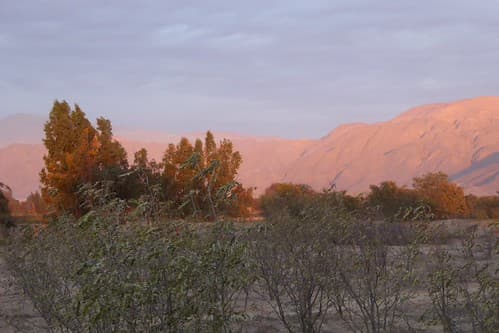 Altiplano (Pérou)