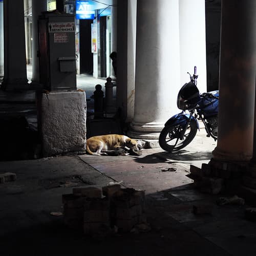 New Delhi