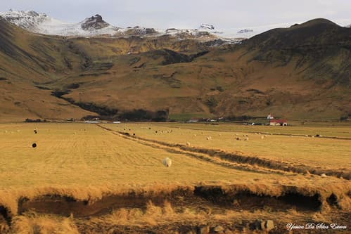 Sur la route, Islande (9)