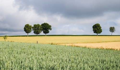 Luxembourg Landscape