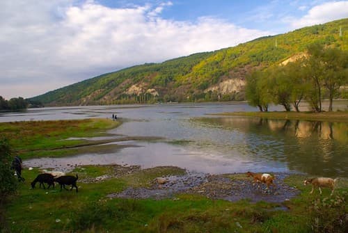 Lac de Pancharevo 2.jpg
