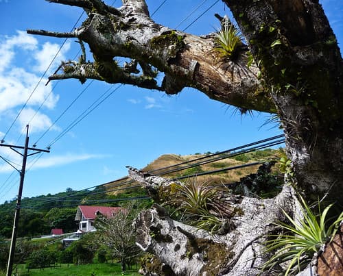 Boquete, Panama
