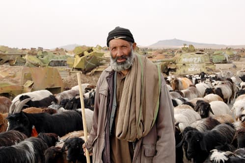 Shepherd