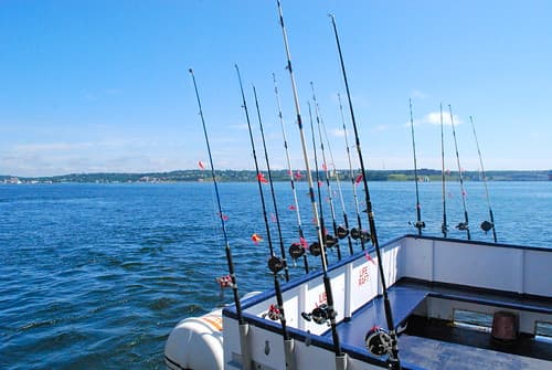 fishing poles