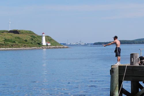 fishing in halifax harbor
