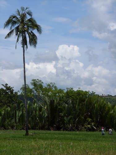 Bohol, Philippines