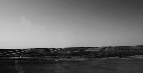 Lines