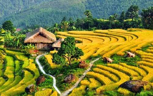 Sapa, Vietnam