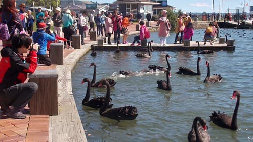 Bataille navale