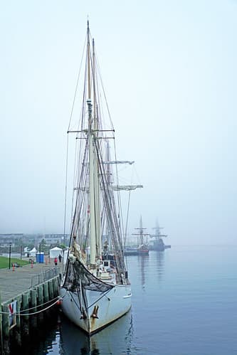 DSC08080 - Blue Clipper