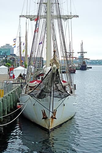 DSC08168 - Blue Clipper
