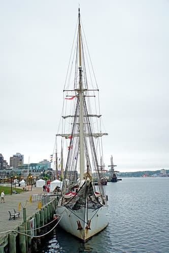 DSC08167 - Blue Clipper