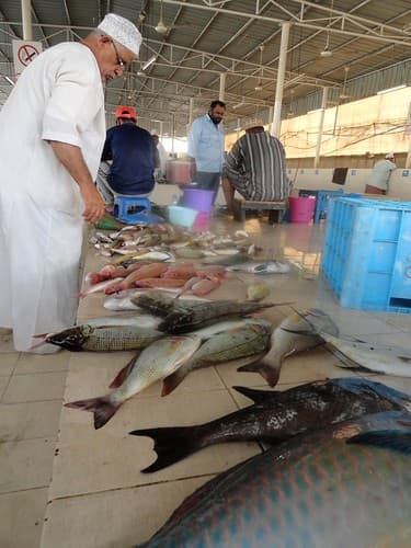 Old Fish Market, Muscat, Oman