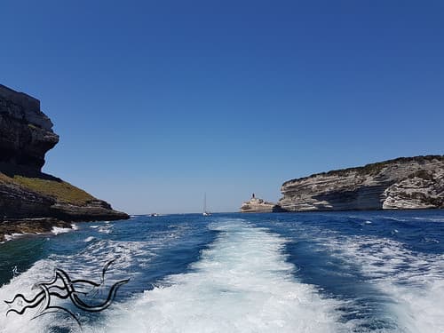 ️ eXploration | Corsica - Corse (South) | 🌌Nature/City