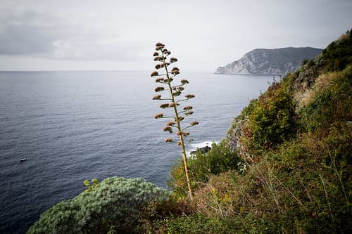 Cinque Terre. Italia. Leica Q.