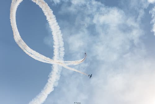 Free Flight