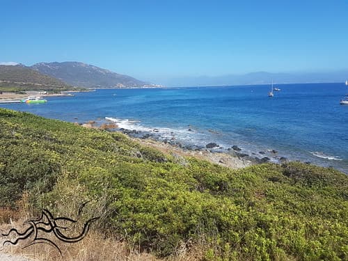 ️ eXploration | Corsica - Corse (South) | 🌌Nature/City