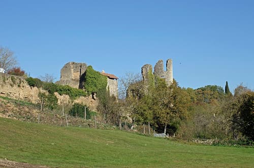 Château-Larcher (Vienne).