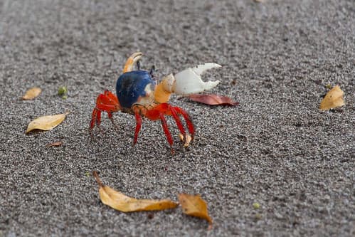 Costa Rica and Nicaragua 2017-003