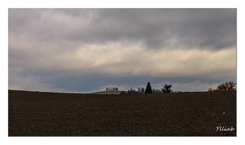 La toscane