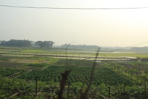 Bangladesh Countryside Near Dhaka