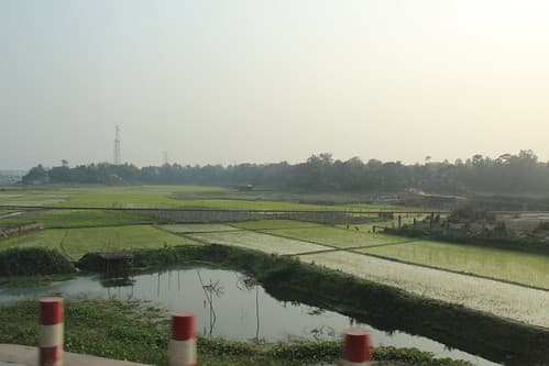 Bangladesh Countryside Near Dhaka