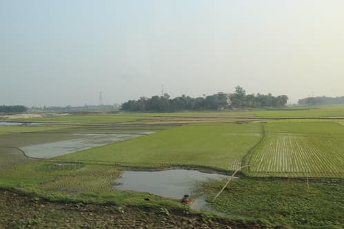 Bangladesh Countryside Near Dhaka