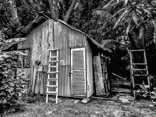 bush hut