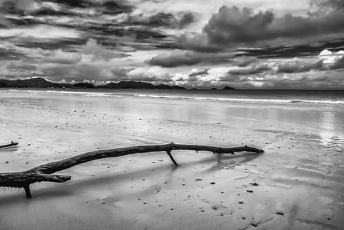 the sound of the beach
