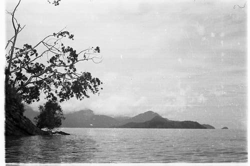 35mm negative by Oskar Speck depicting a coastal landscape