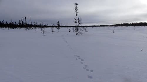 Sur la piste de deux coureurs