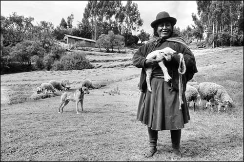Peruvian shepherdess