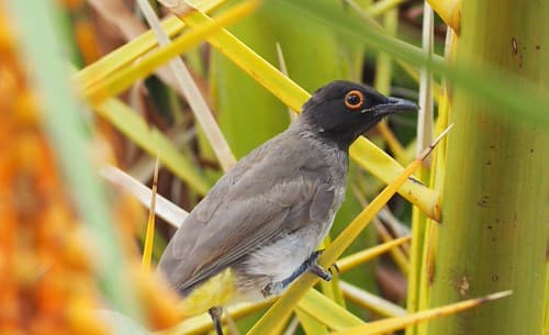 Namibia 2018-54