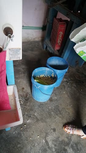 2017-12-10_11-15-40_ILCE-6500_DSC07190
