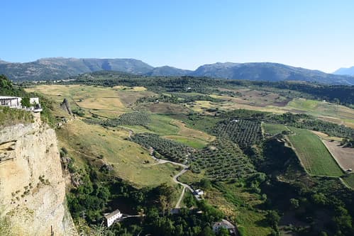🇪🇸 🇪🇺 Paisaje (Ronda, Andalucía, España, 14-6-2018)