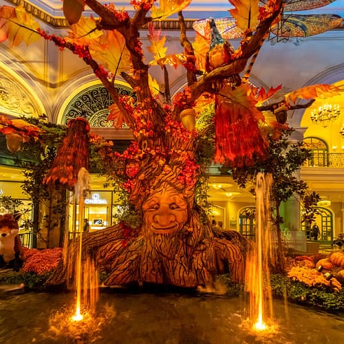 Le Bellagio Las végas