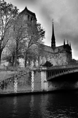 Notre-Dame from the Rive gauche (17)