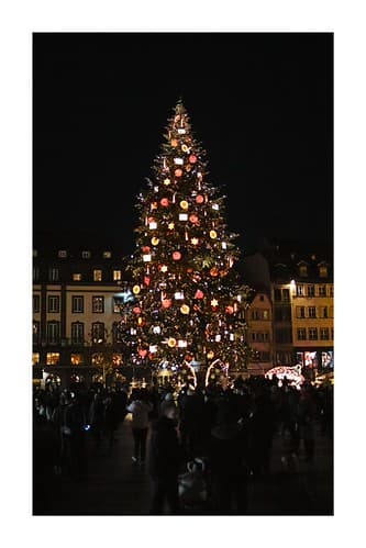 La sapin de Noël de Strasbourg
