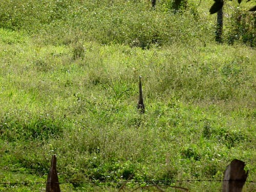 Monteverde , Costa Rica