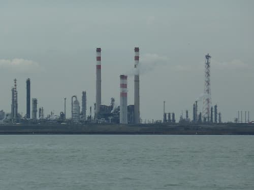 P1000982